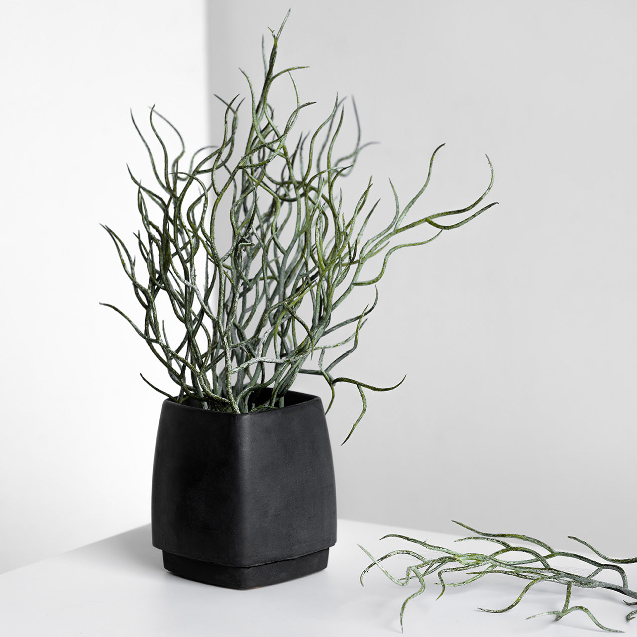 Desk Planter