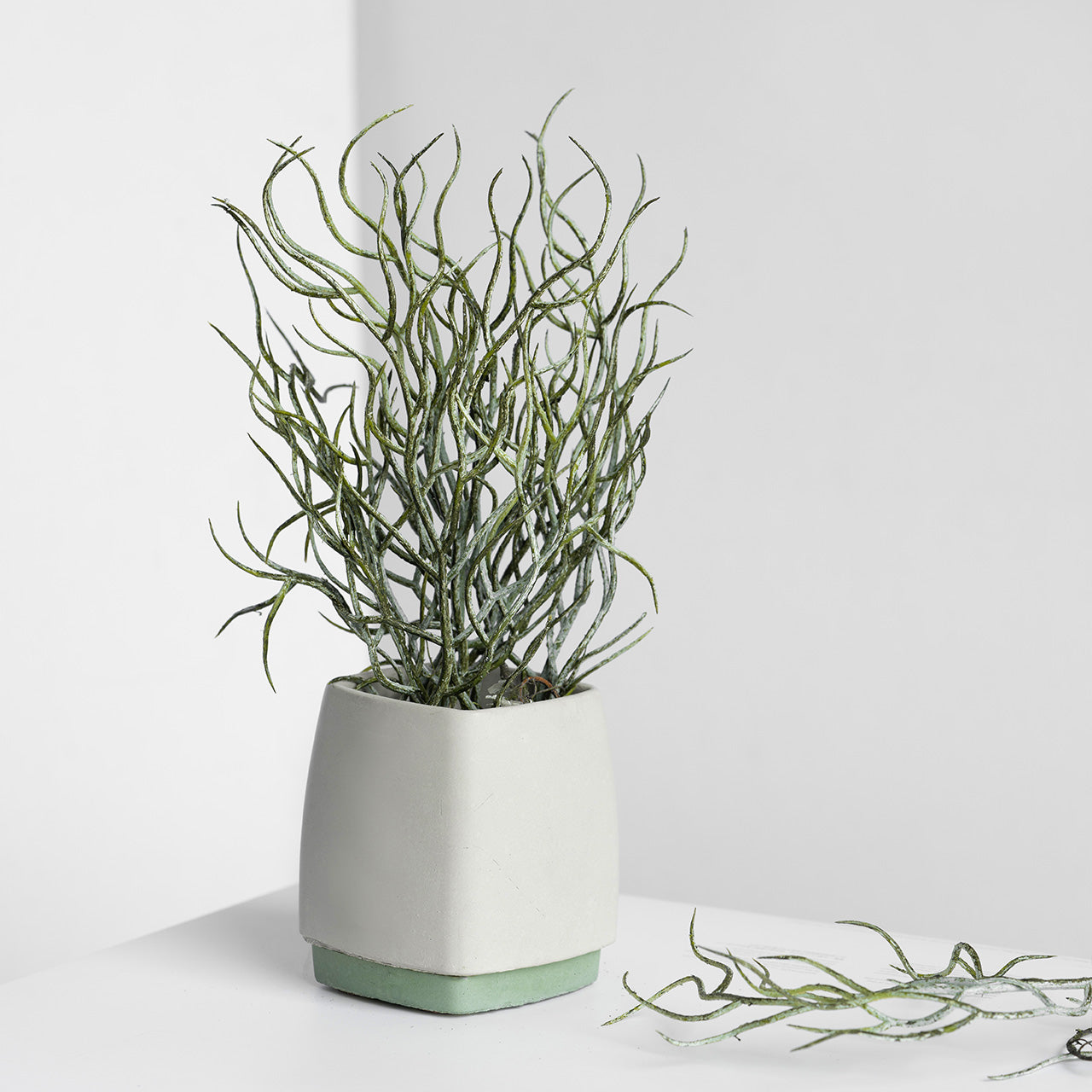 Desk Planter